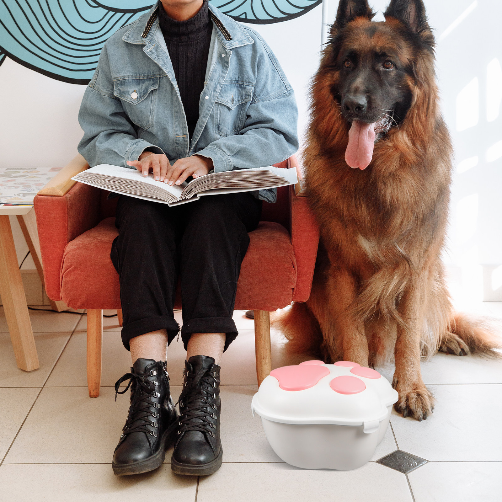 Large Airtight Pet Food Storag – обзор и цена Food Storage No Pantry